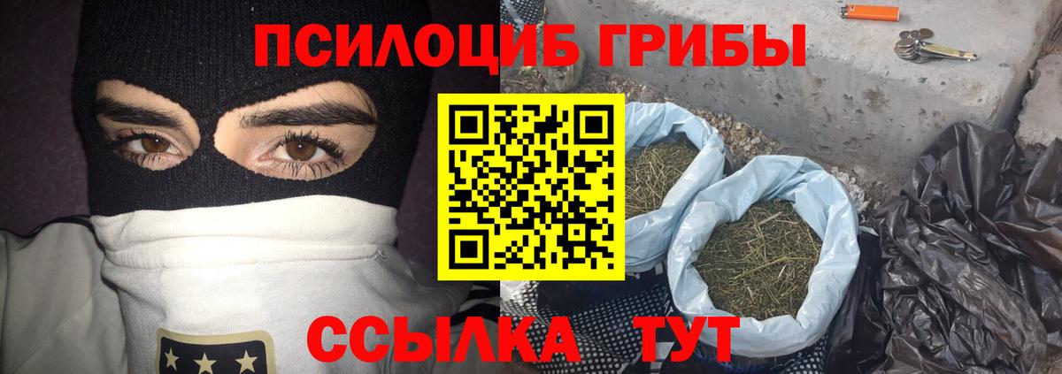 Галлюциногенные грибы MAGIC MUSHROOMS  Вход с VPN  Ярославль 